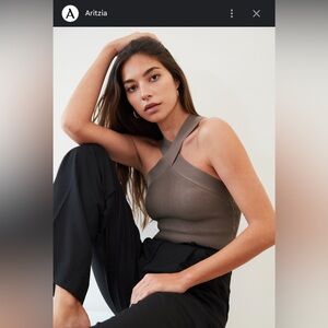 Aritzia Babaton Toasty Brown Sculpt Knit top